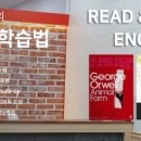 리드앤톡영어도서관