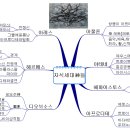 그리스장 이미지