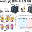 필 그린타워 이미지
