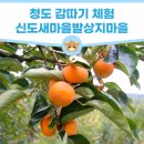 신도정보화마을 이미지