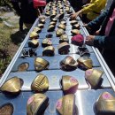 천문로 | 위드대륙파크골프투어｜영천 웨스트우드 피닉스 파크골프장 솔직후기 (잔디상태 최고·코스 재미 인정!)