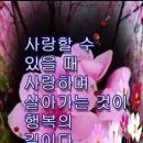 늘 사랑 합시다 이미지