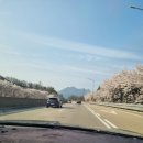 박서생 청년통신사공원 화장실 | 의성 노지 율정호 캠핑