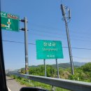 [창녕 여행 1일차] 원조 밀면 후기