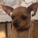 HOTEL이디 | 🇪🇬이집트 3일차) To make those rainbows bow-meow*:･🍮⭐🥞⋆.ೃ࿔