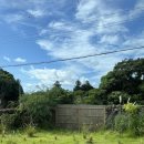 몽중정원 | 제주 서귀포 남원, 몽중정원 독채 숙소 후기