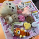 뽑기방 버들강아지 | 부산 광안리 놀거리 인형뽑기샵 피피피 펫스테이션점 도파민 충전