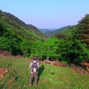 청솔밥상