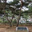 완도 법화사지 이미지