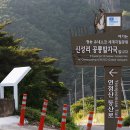 신성리 공룡발자국 이미지