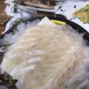 회먹고초밥먹고 이미지