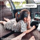 3일연휴계획 피크닉 차크닉하면서 쿠팡플레이 미나리보고 감상평 남기기