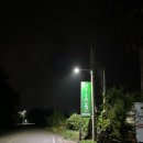 제주야자수정원수영장 올레돔 감성독채숙소 이미지