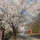 병산골칼국수 이미지