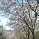 곰내길 이미지