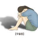 Wellness Gym 이미지