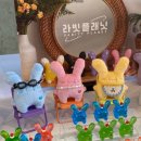 라빗플래닛 이미지