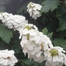 부자 아빠 가난한 아빠 돈의 가치관과 철학 이미지