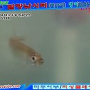 발랑낚시터 이미지