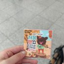 2024 펫페어 | 수원컨벤션센터 수원펫쇼 첫날 다녀 온 후기 + 뽀야가 픽한 간식