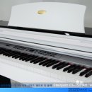 슈타인뮤직 이미지