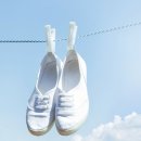 미백세탁 이미지