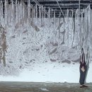 강보아트