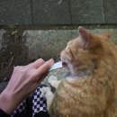 네딸맘공인중개사사무소 | 5번째 집, 이사 완료..!