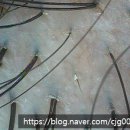 건성(주) 이미지