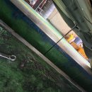 나은자동차정비공업사 이미지