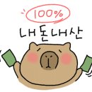 씨포 이미지