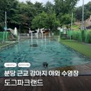 도그파크랜드 | 용인 분당 근교 강아지 수영장 [도그파크랜드] 내돈내산 후기