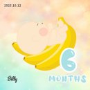 [임신 20주] 베이비빌리 첫인사박스+롯데온 퍼스트맘 박스 당첨 후기 ♥