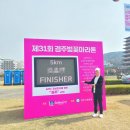 32회 경주벚꽃마라톤 대회 총정리! 코스, 기념품, 일정 등