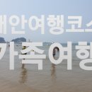 만리포카페중독 이미지