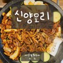 신양오리 이미지