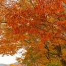 함양조망공원(상) | 경남 함양 가볼만한곳 여행 필수 코스 BEST 4 한눈 정리