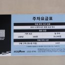 식풍경 | [후기] 부산 영도 피아크 식물마켓 알식마켓 풍경 모습 방문 후기