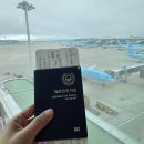 158 | 인천-디트로이트 델타항공 직항 DL158 탑승 후기 #이코노미석 메인케빈