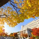 경희대학교 아트퓨전디자인대학원 이미지