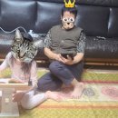 영민출판사