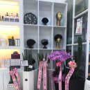 하마헤어 네이버블로그