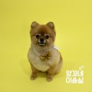 앙꼬네 미용실 이미지