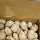 신성플러스 | 여름철 밀폐용기 추천 락앤락 스마트킵 프레쉬 플러스 3.5L 대용량 상추 보관 후기