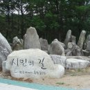 팔공산올레길 1코스 이미지