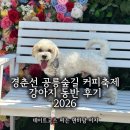 2026 경춘선숲길 커피축제 기본정보 공릉동 주차 반려견동반 후기
