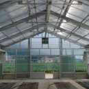 늘푸른(주)