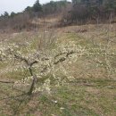 예천농장 이미지