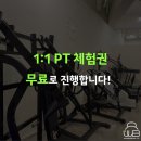 원더바디핏 이미지