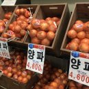 푸드진 - 10158 | 푸드진